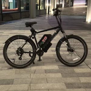 250W/500W Premium E-Bike Full Extras